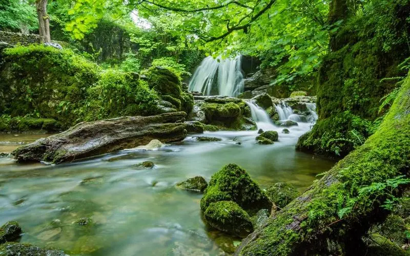 高标准高质量高效